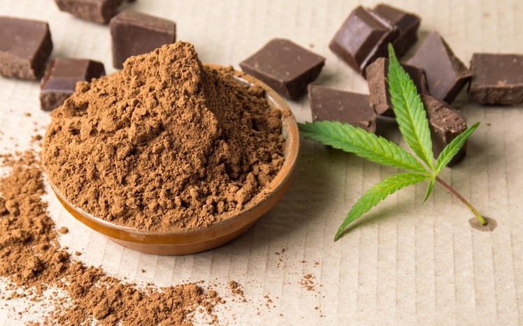 US cannabis-infused chocolate sales growing at 28% year-over-year.  Pic: ©GettyImages/Creative-Family