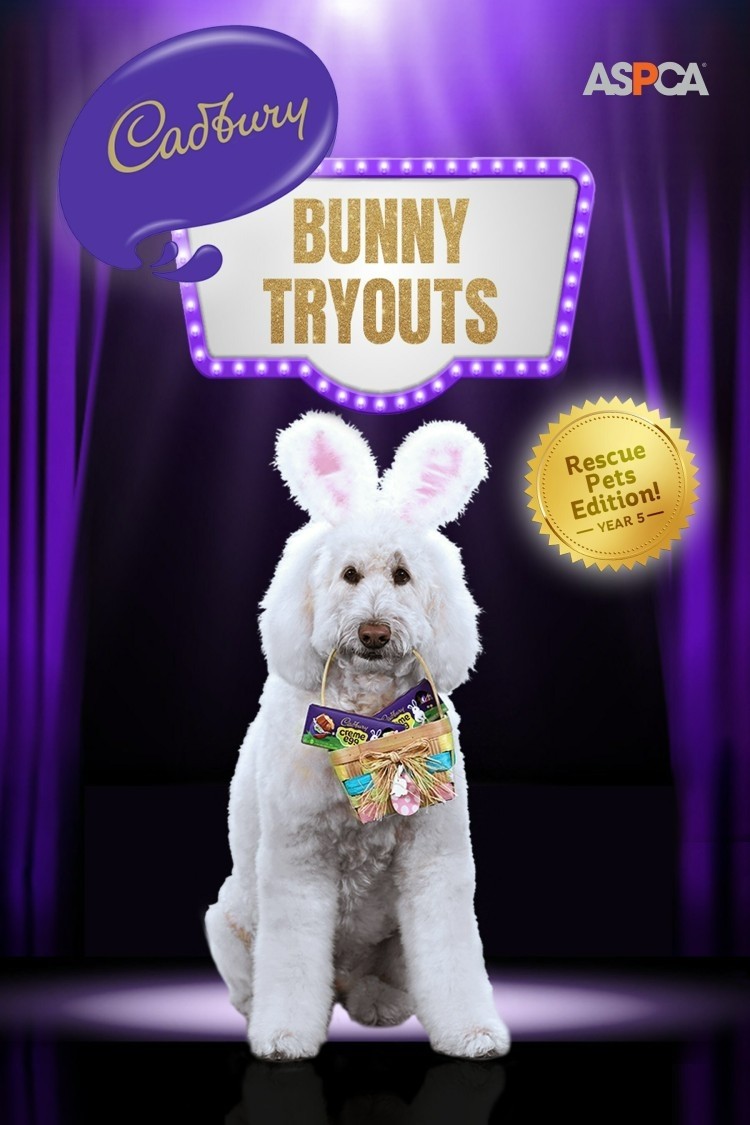 Hershey puts a call-out for a rescue pet to be the next Cadbury Bunny