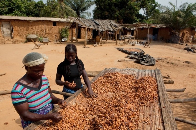  Oxfam's report, ‘Shining a Spotlight’, highlights  problems that still linger in the cocoa supply chain. Peter DiCampo/Oxfam America