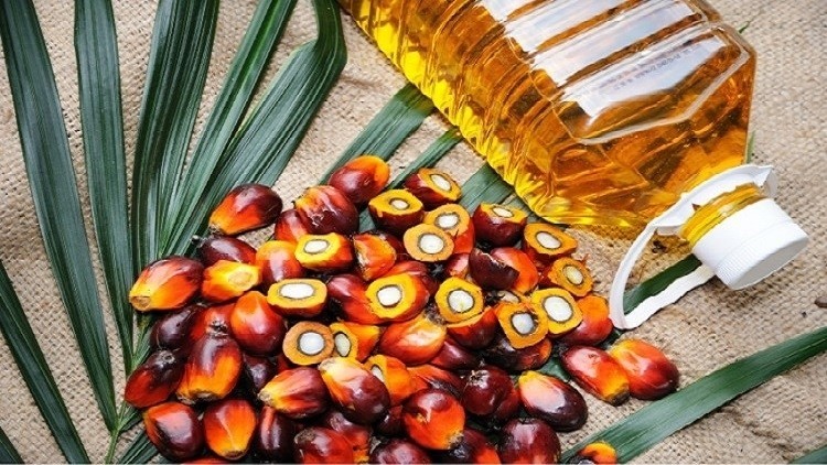 Malaysian palm oil is expected to see a rise in demand from India and China this year as economies gradually open up and local stocks diminish. ©Getty Images