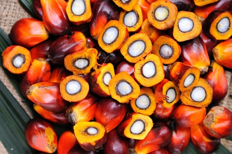 Palm oil production to revive following departure of El Niño