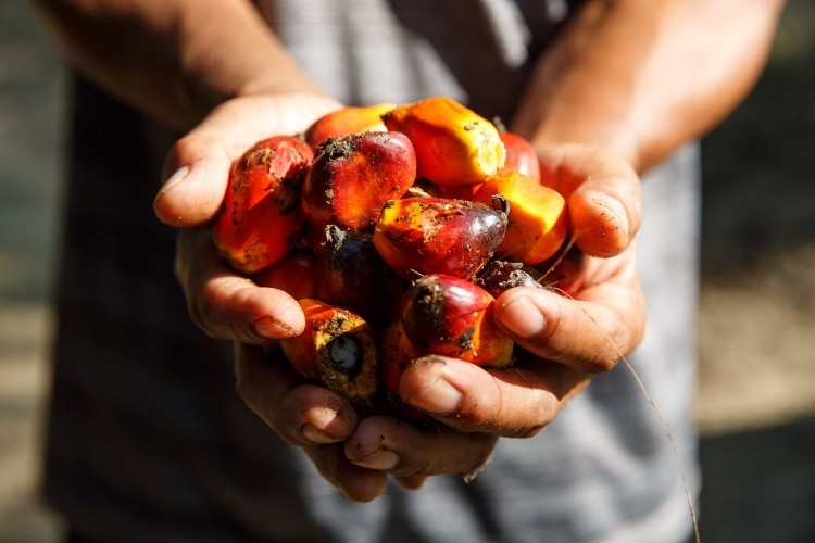 RSPO aims to empower smallholders as part of RT15