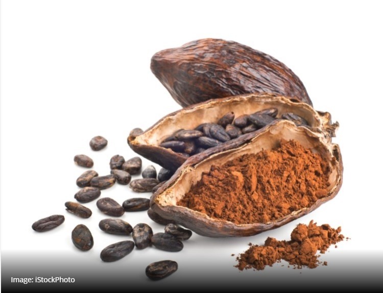 Gut role crucial for cocoa flavanol’s cognitive effect 