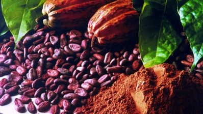 Ghanaian Cocoa Board rubbishes cocoa ban rumors