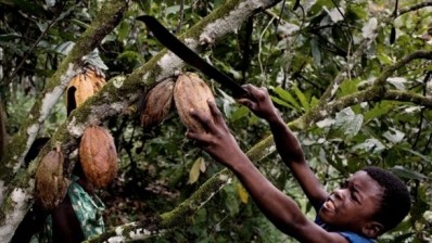 NGO pushes Mondelēz for a public deadline to certify its entire cocoa supply to combat child trafficking. Photo Credit: Make Chocolate Fair