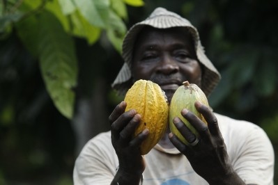 Less than $1 a day: Ivorian cocoa farmers far below extreme poverty threshold