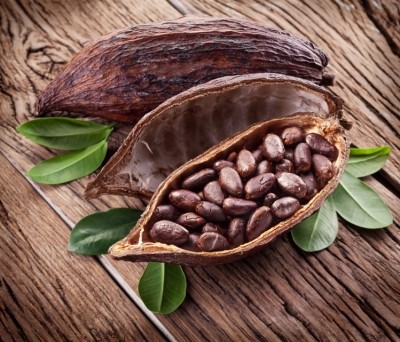 Cémoi targets full traceability for its cocoa supply with Transparence program
