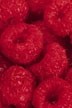 Boost chocolate functionality with freeze-dried raspberry leaf, say researchers