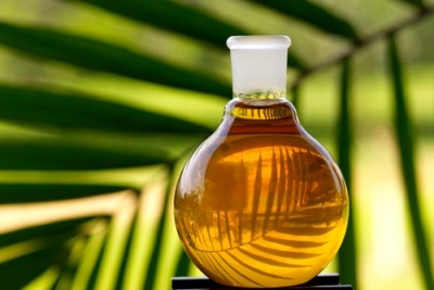 French politicians have adopted a tax on palm oil used in food, calling the new €30 per tonne tax "more realistic" than the previous levy of €300.(© iStock.com)