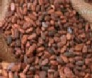 Cargill to open its first Asian cocoa processing plant