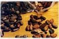 Starter cultures backed for on-farm cocoa fermentation
