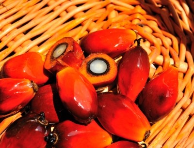 Pilots are ongoing with apples, palm oil, olive oil and leafy greens. Picture: Istock of palm oil fruit 