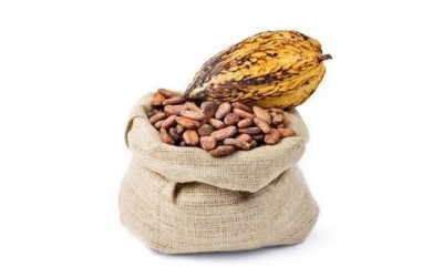 Theo Innovations debuts flavanol-rich cocoa extract