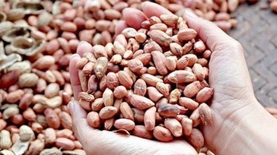 Even a small amount of nuts in an allergy-free product could cause big problems. 