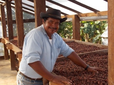Up and coming origins: Quality improvements for Central American cocoa creates opportunities for premium chocolate makers