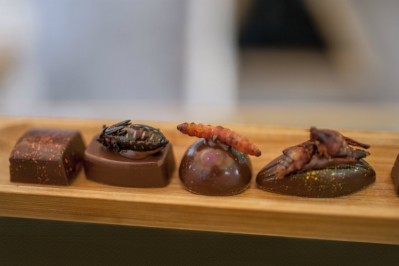 Functional chocolate is gaining popularity, whether through superfoods like açai or grasshoppers and crickets, pictured here. Pic: Getty Images/fitopardocom