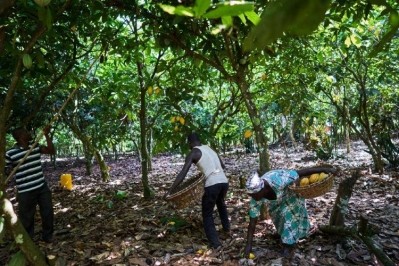 CFI Frameworks for Action is a joint agreement with government, civil society and the worlds leading chocolate and cocoa companies, including Barry Callebaut. Pic: Barry Callebaut