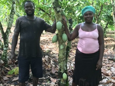 Cocos farmers Bismark Botwe and his wife Joyce Aidoo on their farm in Ghana, Pic: Kristy Leissle