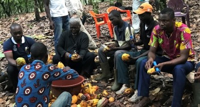 Mars said it aims to support 14,000 cocoa farmers on a path to a sustainable living income by 2030. Pic: Mars