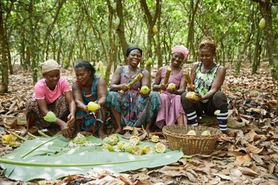 'Cocoa farmers have a bigger stake than anyone in the success of their farms'. Pic: OFI