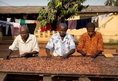 Ghana_cocoa_farmers drying their beans for Tony's Chocolonely. Pic: Tony's Chocolonely