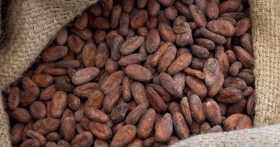 Ferrero claimed a high level of traceability for its cocoa  from farm to purchase point. Pic: Ferrero
