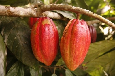 More than 50% of the Mars' cocoa came from certified sources in 2016. ©GettyImages/urf