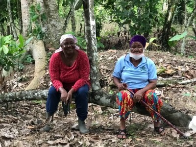 Ama Ampomaa (right) with her sister Felicia Asare on the family's cocoa farm in Ghana. Pic: Kristy Leissle