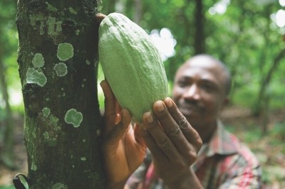 The Rainforest Alliance was able offer assistance to cocoa farmers from different countries. Pic: Cargill