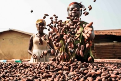 Lindt & Sprüngli has traced 100% of its cocoa beans back to source. Pic: Lindt & Sprüngli 