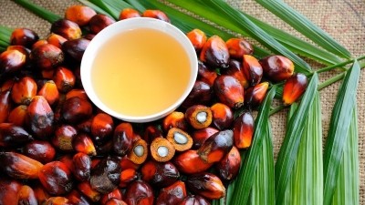 The palm oil sector will need to emphasise how its current sustainability and development strategies are also ‘future-oriented’. ©Getty Images