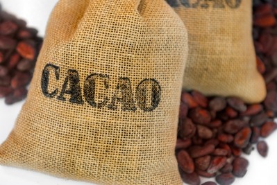 Olam wants to build a more sustainable cocoa supply in Africa ©iStock/JANIFEST