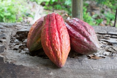 Hershey ups commitment to sustainable cocoa / Pic: iStock/RobertKacpura