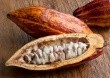 Cocoa supplement market close to breakthrough
