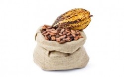 Do younger people respond better to the cardiovascular effects of cocoa flavonoids?