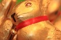 Lindt: personalized gold bunny