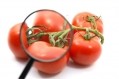 Spoilage fears prompt tomato ketchup recall