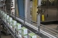 the cartons on the conveyor belt