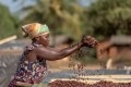 Cargill’s Cocoa Promise – 10 years on, what lessons have been learned?