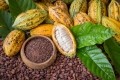 The CAA cocoa conference returns for discussions on a prosperous future for Asia's cocoa and chocolate sector. Pic CN